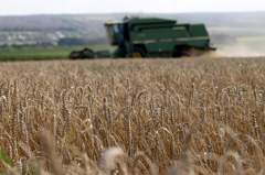 切斷烏克蘭穀物出口後 俄羅斯自陷糧食運輸重大挑戰