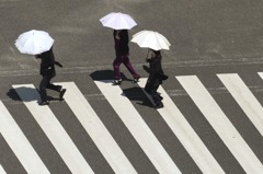 日本高齡化嚴重 評估吸引更多越南勞工措施