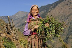 印度選前放利多 農婦補助金額提高一倍