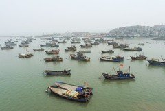 中令南海休漁3個半月 越南抗議「侵權」