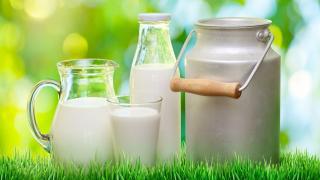 鮮奶比保久乳健康嗎？<u>營養</u>師告訴你正確觀念！