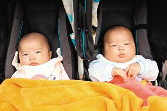 可愛龍鳳胎　台北榮總上午舉辦人工生殖醫學25週年慶祝大會，一對四個月大的試管雙胞胎林小妹（左）與林小弟（右）可愛的模樣，吸引許多目光。 記者蘇健忠／攝影