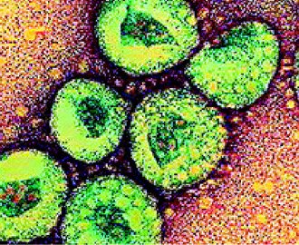 新冠狀病毒的兩個確診病例，都是在中東感染。 圖／取材自BBC