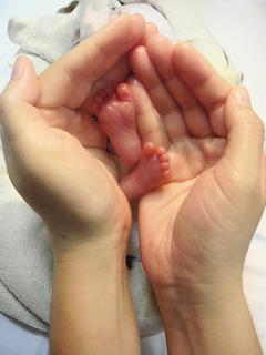 早產兒最近徵選早產兒小腳丫照片，五年多來照顧早產兒的護理人員康詩芳，拍下掌心中「巴掌仙子」的小腳丫，獲得第一名。 圖／早產兒基金會提供