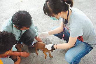 動保處昨起巡迴偏鄉為民眾家中的貓狗免費打狂犬病疫苗。 圖／動保處提供