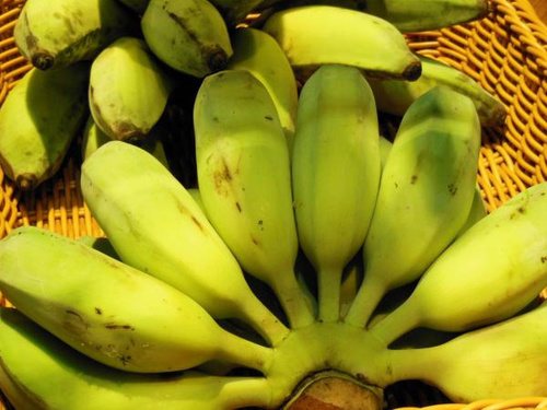 攝取含鉀食物如香蕉，可降血壓。 圖片來源╱台灣好食材 Fooding