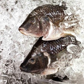 魚內臟易有藥物殘留，最好清除。 圖片來源╱台灣好食材 Fooding
