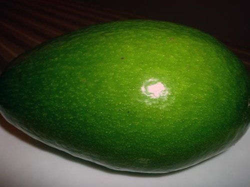 酪梨未熟成前，果皮呈青綠色，必須放5~10天才能吃。 圖片來源╱台灣好食材 Fooding
