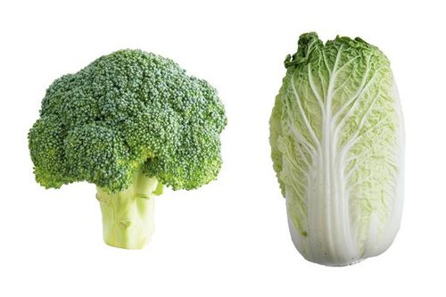 十字花科食材如花椰菜、白菜可減緩甲狀腺功能低下症，但不宜過量。 圖片來源╱台灣好食材 Fooding