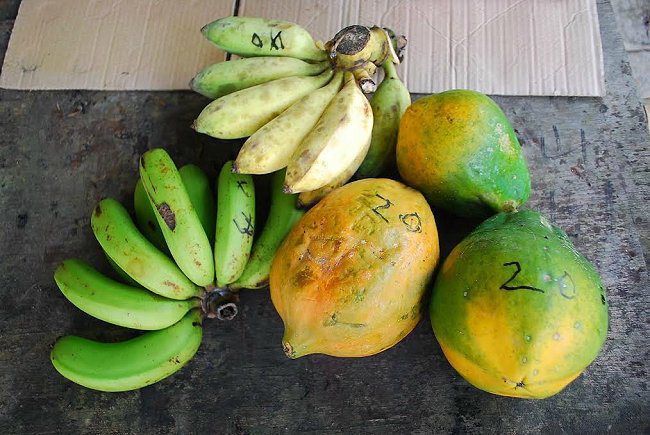 良心香蕉的水果標價直接寫在水果上頭。 記者趙惠群／攝影