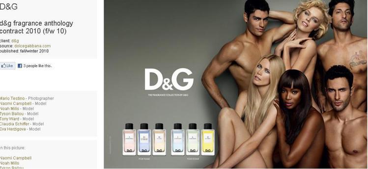 D&G廣告網羅90年代超模，包括克勞蒂亞雪佛、娜歐蜜坎貝兒、伊娃赫茲高娃。圖／擷取自models.com