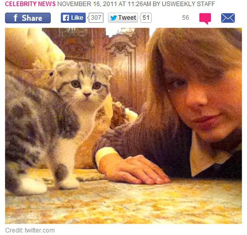 泰勒絲與她的寶貝折耳貓Meredith。圖／擷取自usmagazine.com