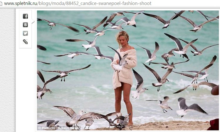 Candice Swanepoel 穿著寬鬆毛衣，與成群飛起的海鷗一起入鏡，畫面看起來非常清新自然，一掃冬天的陰鬱氣氛。圖／擷取自spletnik.ru