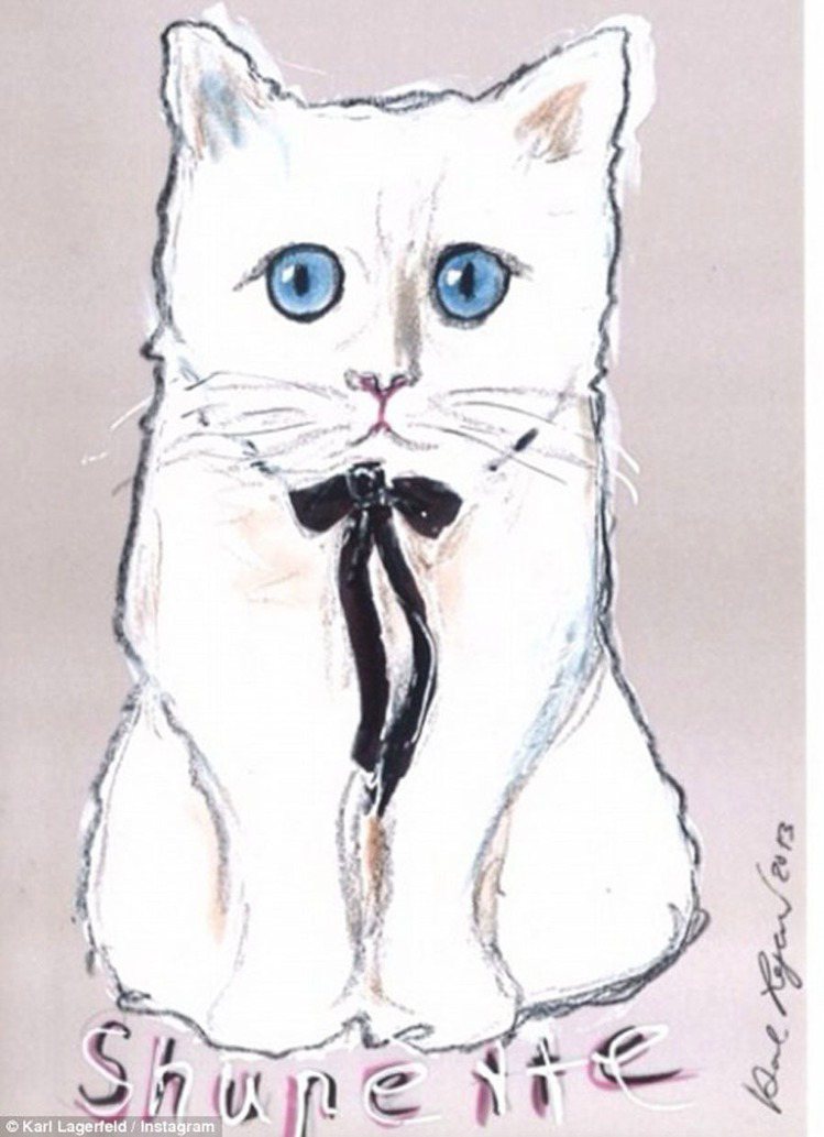 植村秀為卡爾拉格斐的寵物貓Choupette開發「Shupette」新產品。圖為老佛爺畫的產品形象示意圖。圖／擷取自英國每日郵報