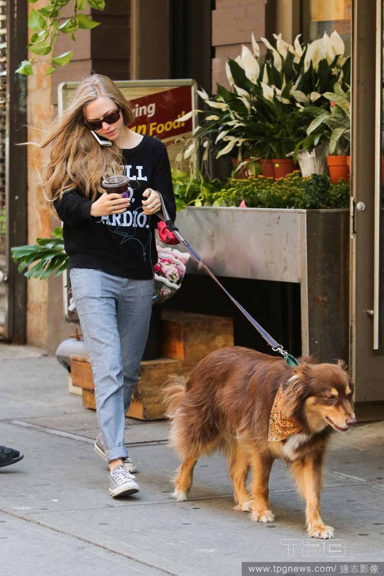 亞曼達賽佛瑞日前在紐約街頭和愛狗 Finn 一起散步，她身穿黑色圓領 T 恤搭配淺色牛仔褲與黑色帆布鞋，簡單休閒的造型讓她看起來相當悠閒自在。圖／達志影像