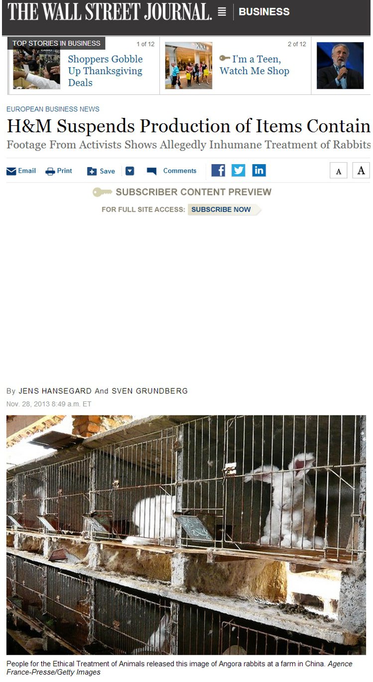 日前善待動物組織（PETA）釋出中國工人不當獲取兔毛的殘忍行為。圖／擷取自wsj.com