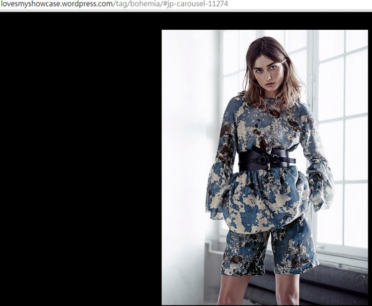 H&M 利用如絲、羽毛等製成的有機布料，以及來自永續資源的原料創造一系列服飾。圖／擷取自lovesmyshowcase.wordpress.com