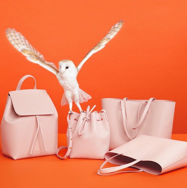 雙人設計師品牌 Mansur Gavriel 推出包包廣告，讓各種動物與包款一塊入鏡。圖／擷自instagram