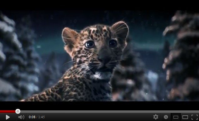 卡地亞全新Winter Tale影片中，「情商」可愛頑皮的小美洲豹演出。圖／擷取Cartier影音頻道官網