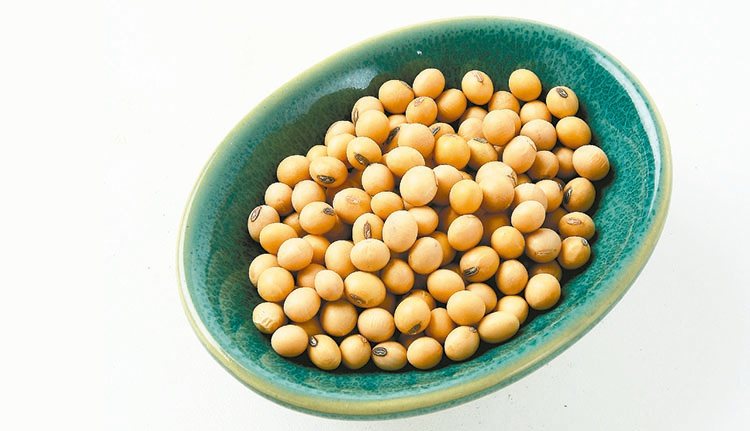 大豆、山藥，乳癌患者可以吃嗎？