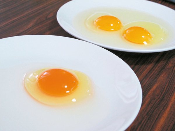 蛋黃對身體有益。 本報資料照片