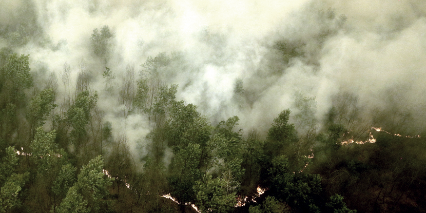 印尼南蘇門答臘省的森林大火。 圖／路透社