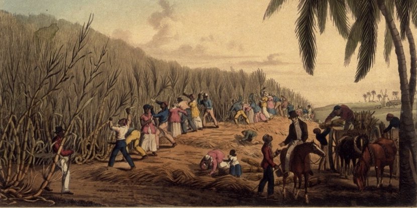 奴隸商通常都會把來自不同部族的黑奴打散，再賣到不同的種植園，並在說母語或進行祭典...