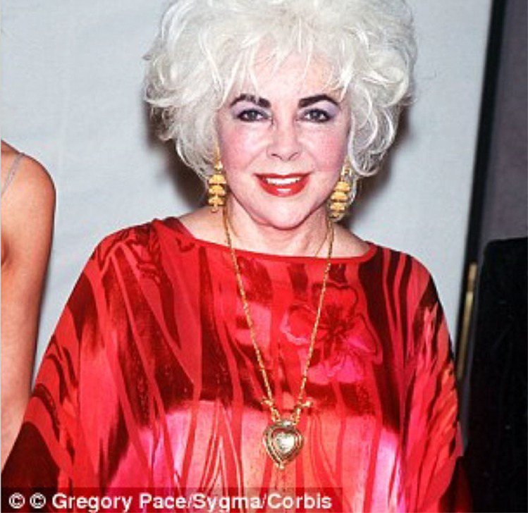 伊莉莎白泰勒曾於1999年配戴「泰姬瑪哈」鑽石項鍊出席活動。圖／摘自每日郵報