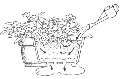 <b>●夏天中午的澆水方式</b><br>
直接澆於土壤中，直至下方流出大量的水為止。水量比平時稍多，且避免直接澆於葉面上。<br>