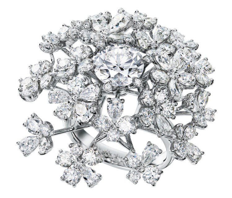 TASAKI wild bouquet radiant鑽石鉑金戒指，1,110萬元。圖╱TASAKI提供