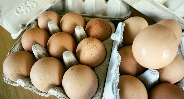 你的早餐是從吃雞蛋開始嗎？對任何年齡層而言，雞蛋都是重要的營養來源。