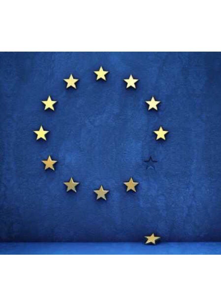 歐盟的旗幟原本有12顆五角金星，星星構成的圓環象徵各國團結在一起，漫畫家戲稱現在...
