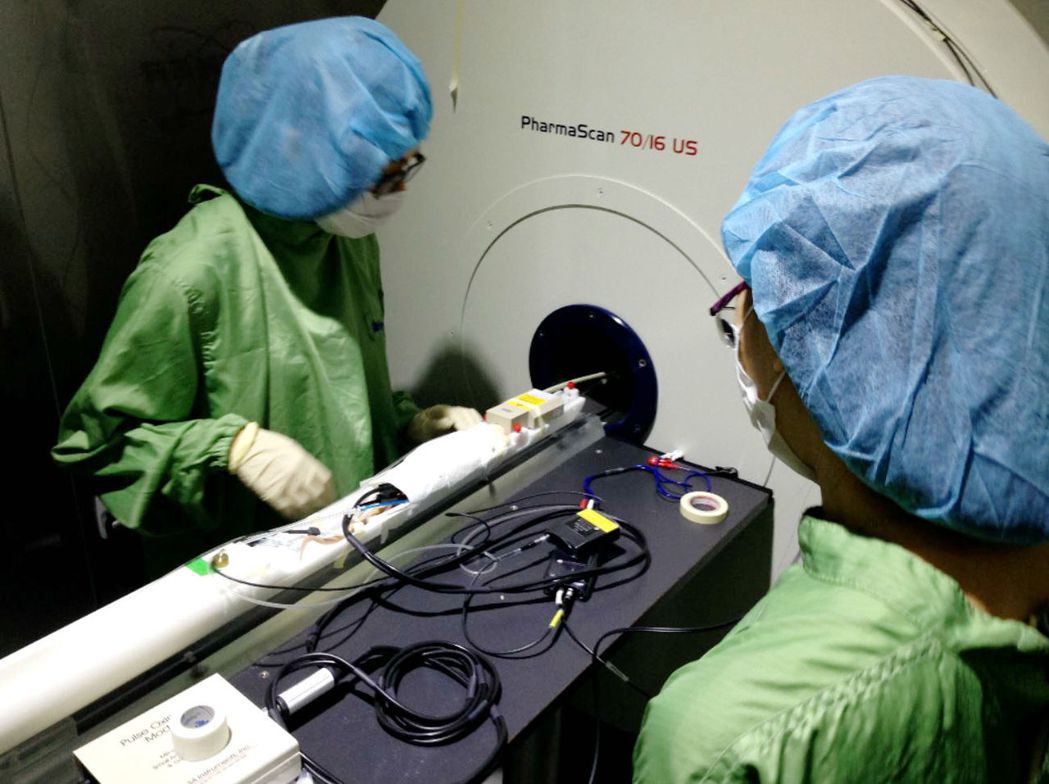 台北醫學大學設置實驗動物檢測儀器，可照設腦波、觀察血流，幫助新藥開發。 攝影／聯合報系
