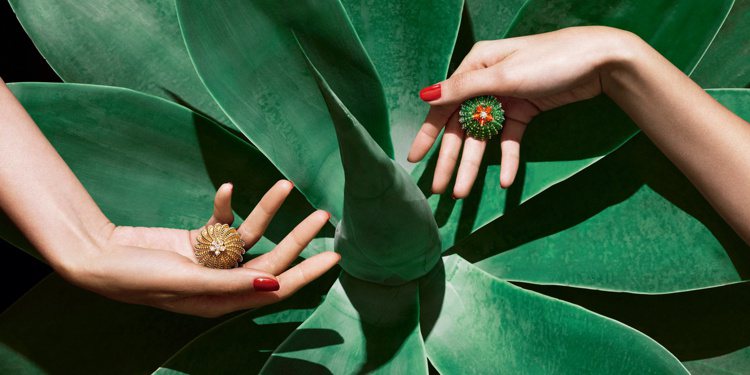 卡地亞Cactus de Cartier 仙人掌珠寶系列推出新品。圖／卡地亞提供