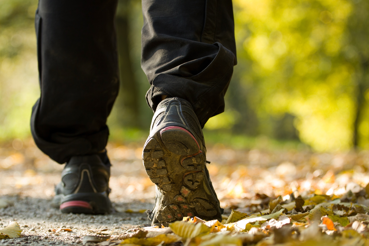 對於70歲以上的長者，以20分鐘走1公里的速度，1周至少走2小時，持續下來，就可減緩老化所帶來的認知功能下降。