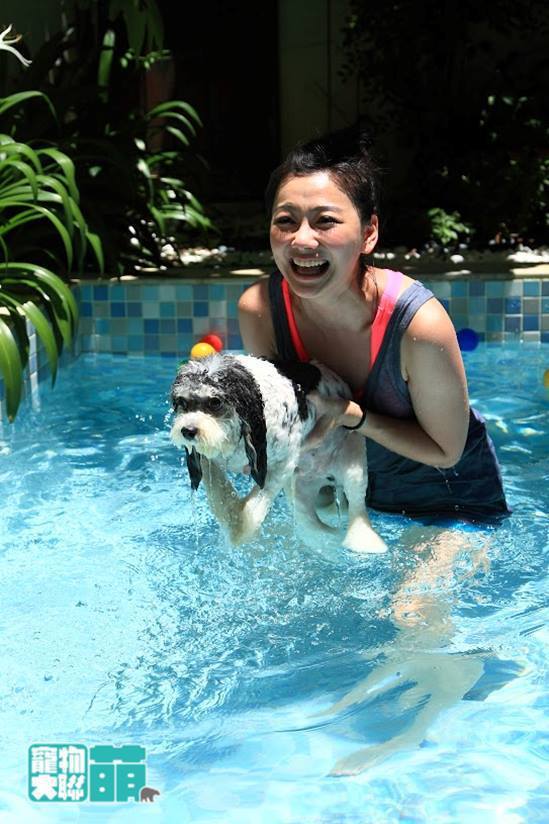 狗狗泡泳池消暑。圖／中天提供