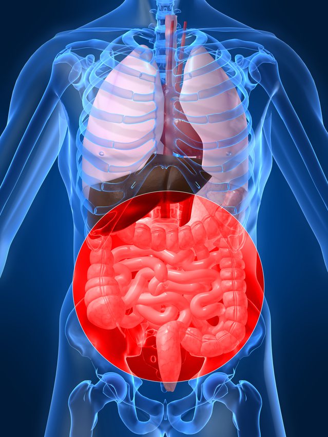 醫師表示年齡50歲以上、動物性脂肪攝取過量、肥胖、缺乏運動、抽菸以及家族內有大腸癌病史者，都是大腸癌高危險群。