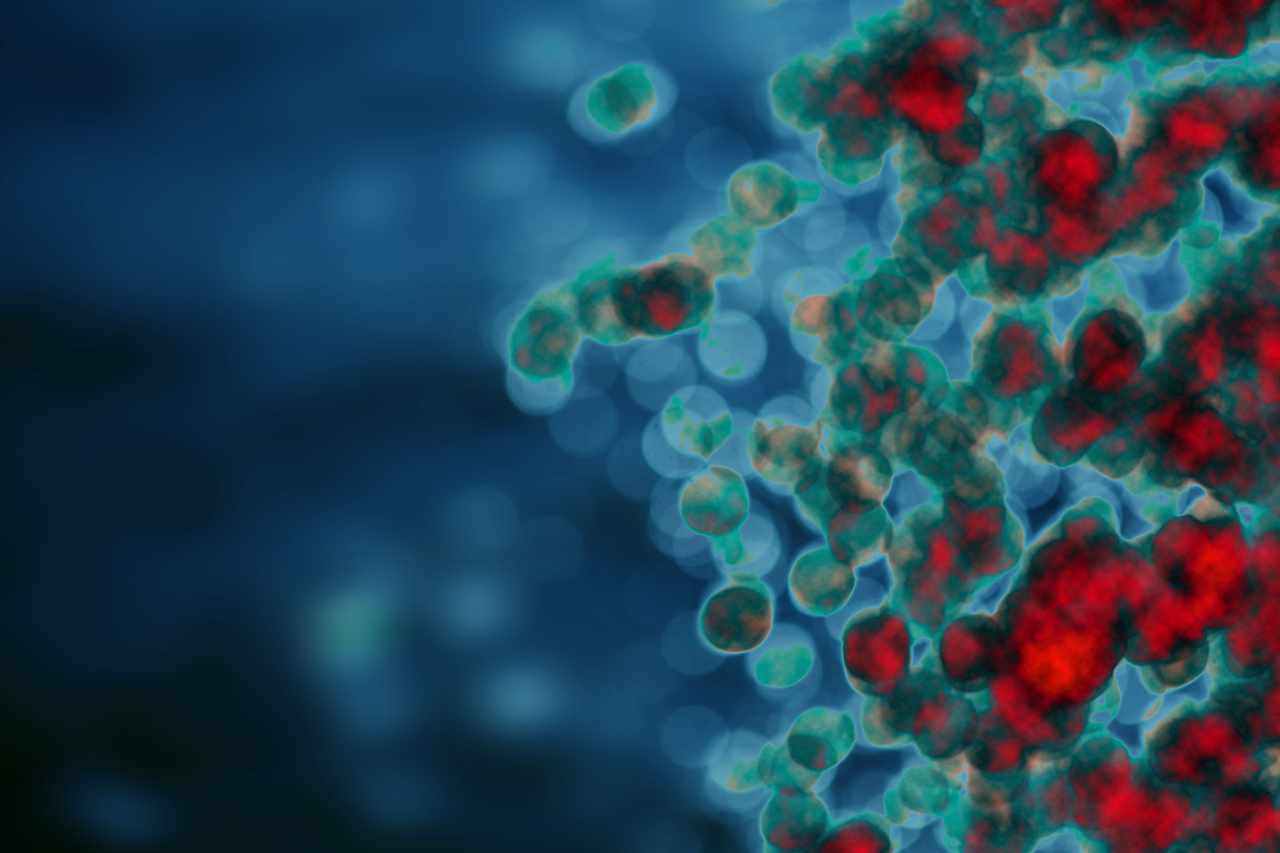 人體的免疫細胞事實上是可以殺死癌細胞的。許金川
