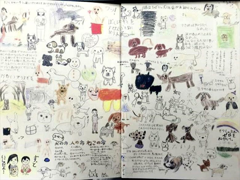 日本各地孩童以繪畫呼籲廢止殺處分。 圖／ある犬のおはなし