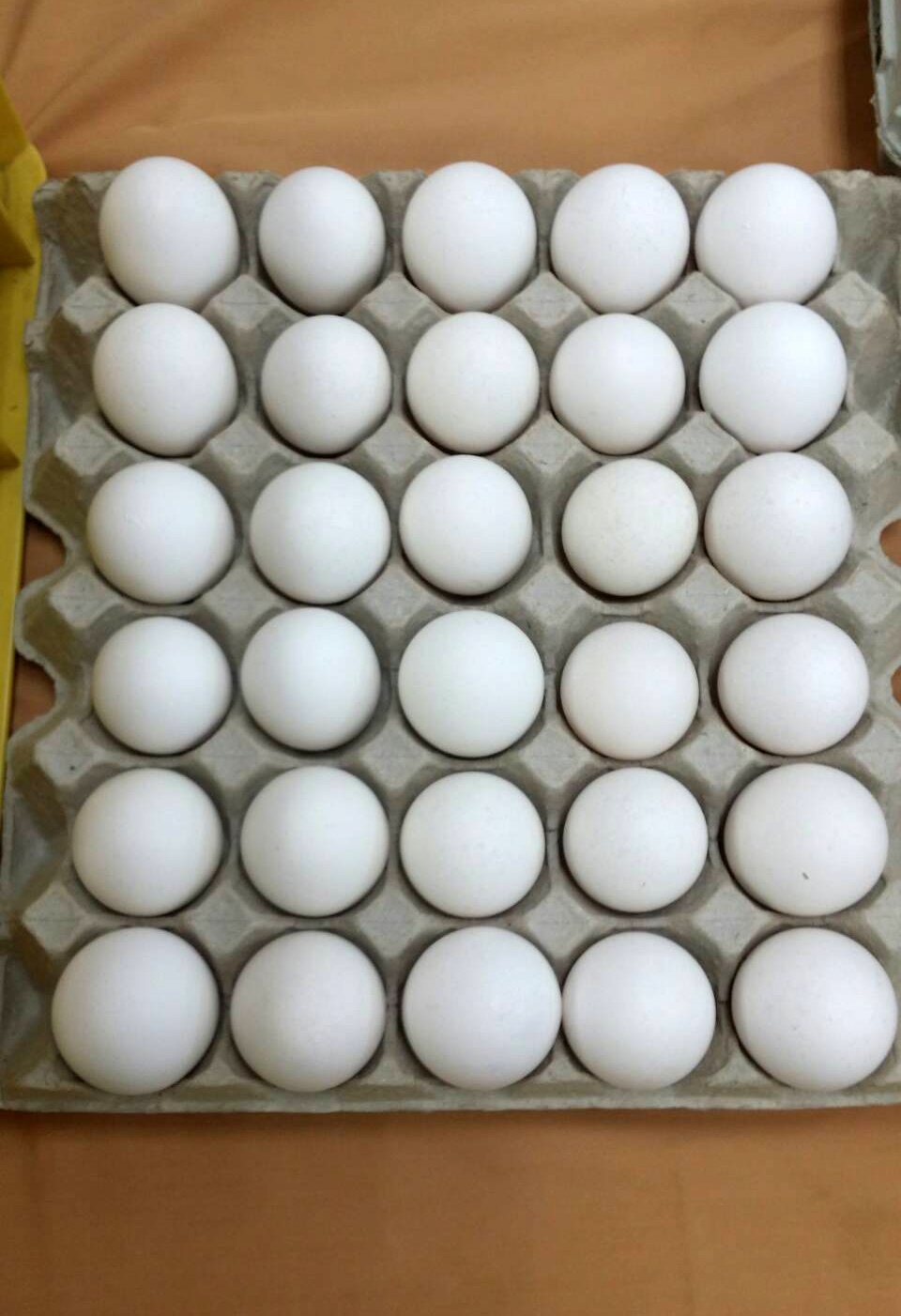 研究證實，政府力推的雞蛋盛裝必須使用一次性包材(紙盤蛋)，可減少民眾感染沙門氏桿菌的生病風險。記者彭宣雅／攝影