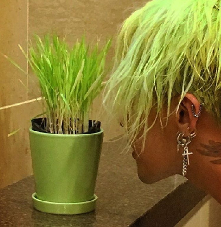 這次新專輯，GD又以亮眼的青蔥綠髮色驚豔眾人，像極了綠色植物，連他自己都KUSO自己。圖／摘自GD IG