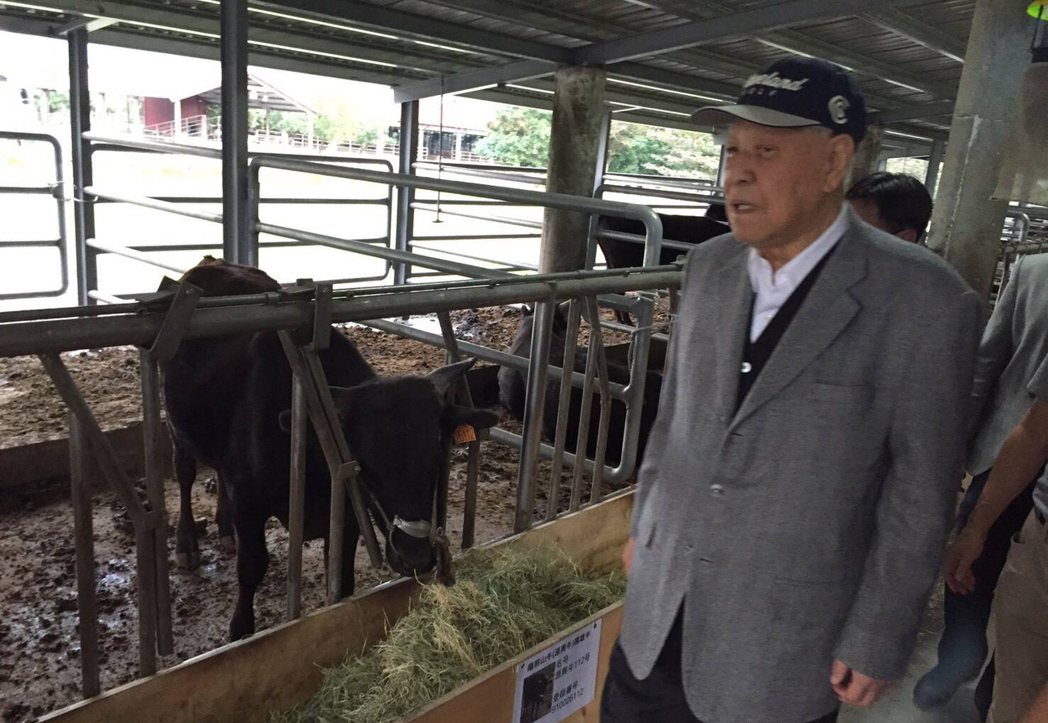 前總統李登輝日前到花蓮新光兆豐農場，探視他養的牛隻。 圖／取自李登輝臉書