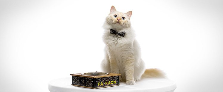 Karl Lagerfeld的愛貓Choupette據說就是用Goyard所出產...