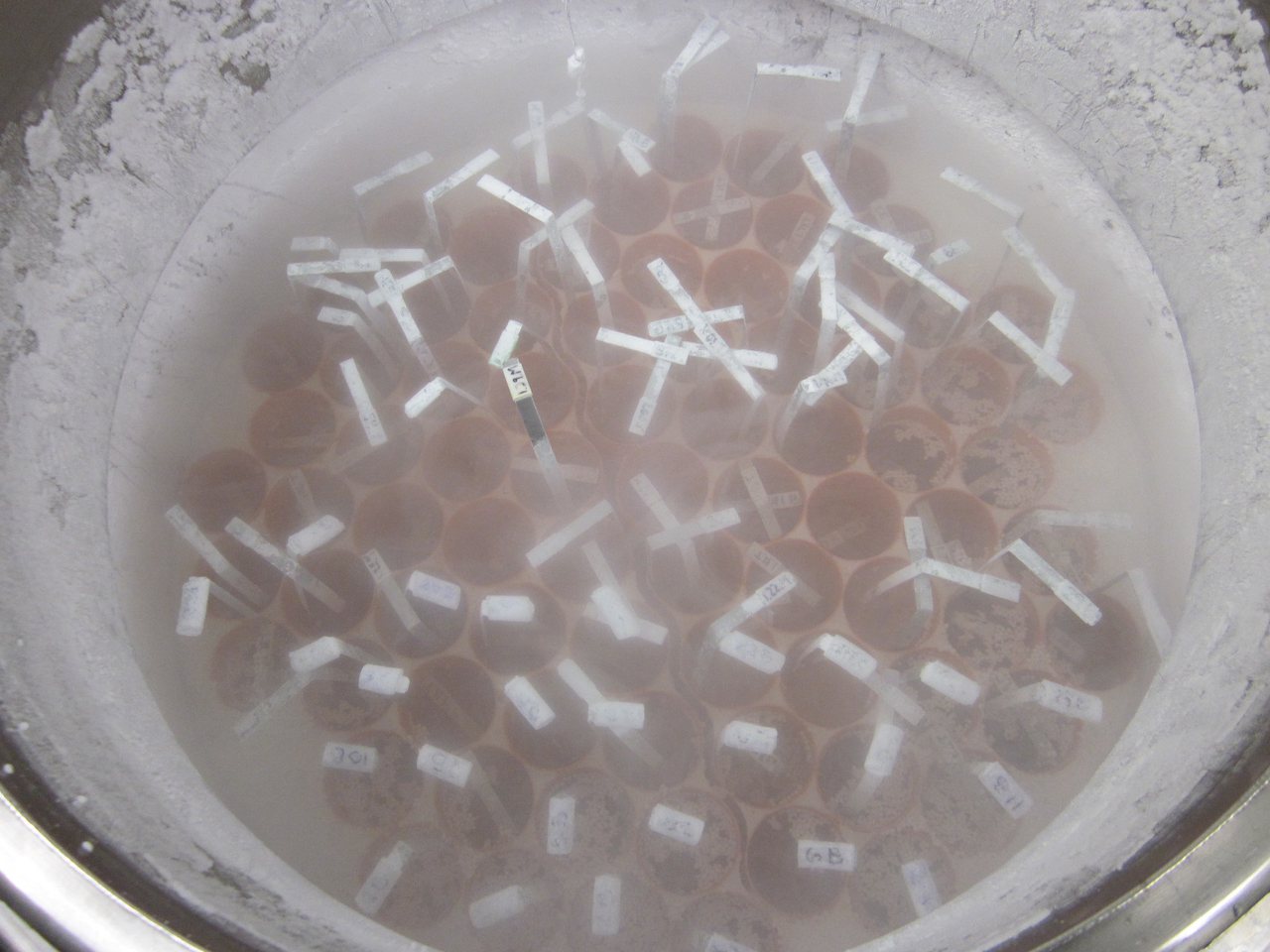 進行人工生殖時，精子採集後，被分裝在小瓶子內，放在冷凍箱中冷凍。

圖／本報資料照片