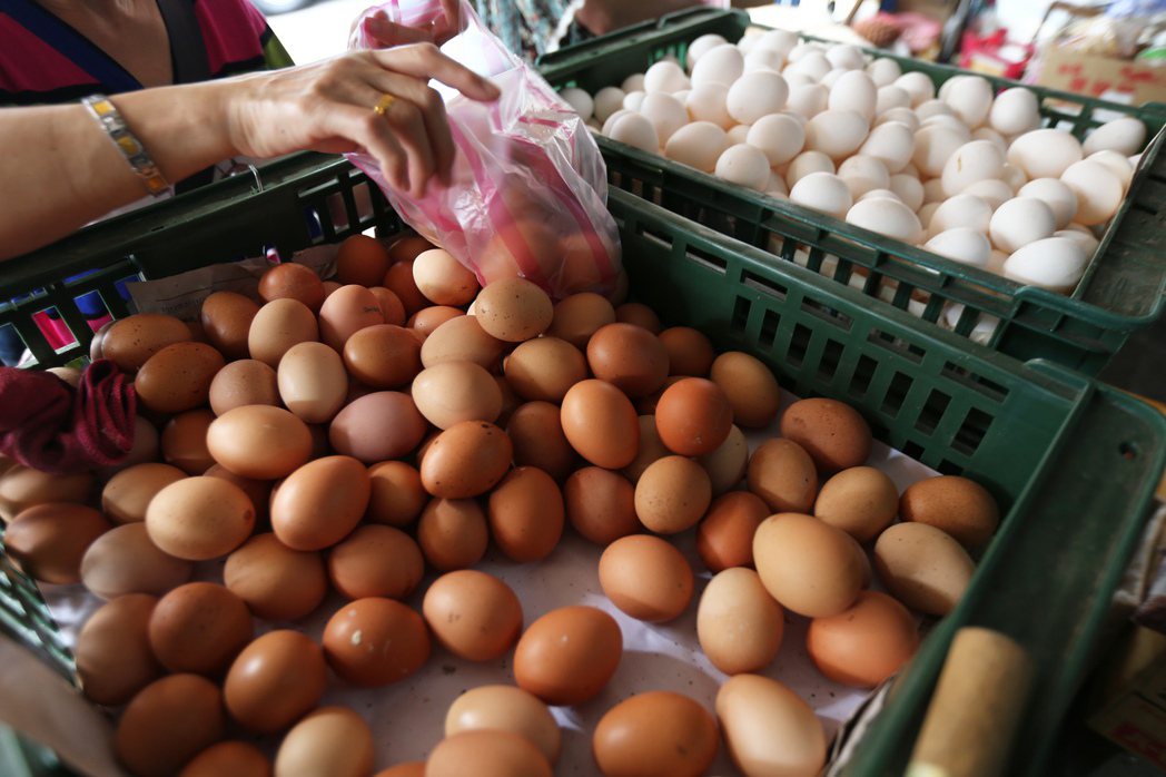 國內首次檢出戴奧辛雞蛋，初步掌握來自彰化地區駿億、鴻彰、財源共3個蛋雞場，已封存...