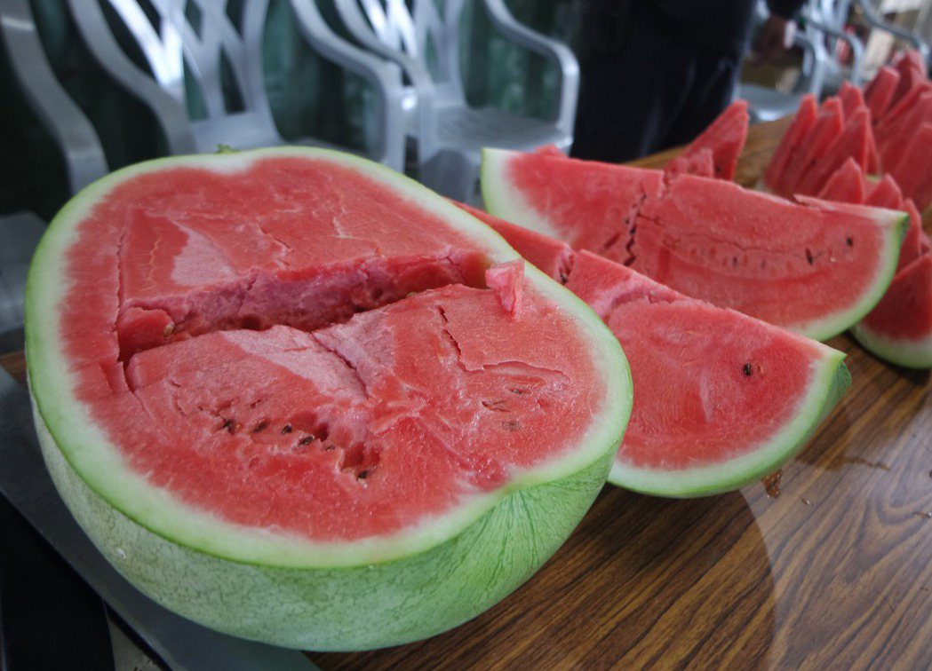 花蓮鳳林西瓜因獲選為總統國宴用的水果，被暱稱為「總統瓜」。 本報資料照片