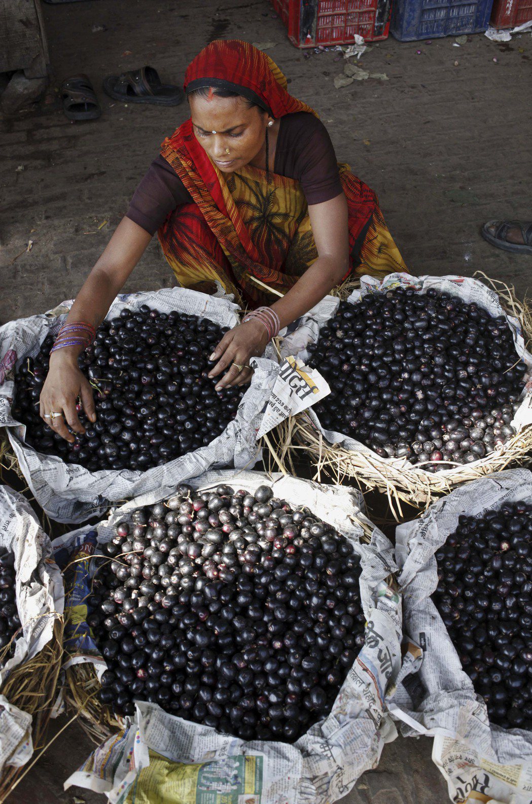 據研究發現，「印度黑莓」（Jamun）的色素可吸收陽光，這將可大幅降低太陽能電池...
