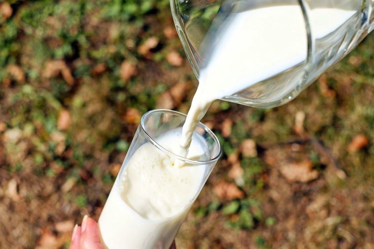 醋酸搭配牛奶容易有腹中癥結？