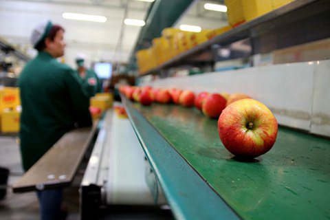 供應商的蘋果 © BB Obst gmbh　為了確保蘋果本身便於包裝、倉儲、運輸...