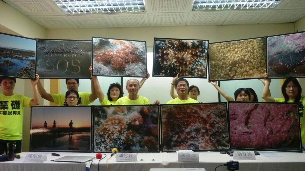 環團與從事生物礁研究的學者專家在大潭藻礁地區發現第一級保育類「柴山多杯孔珊瑚」，...